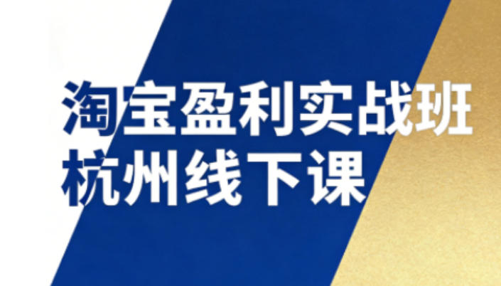 淘宝盈利实战班杭州线下课12月26-28日(音频+字幕)，帮你掌握SOP流程+12门核心技术-初遇