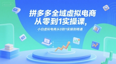 拼多多全域虚拟电商从零到1实操课,小白虚拟电商从0到1实操到精通-初遇