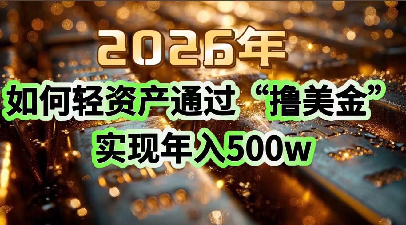 2026年如何轻资产通过“撸美金”实现年入500w-初遇