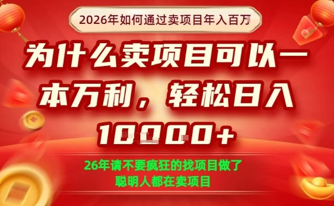 一单净利润1K+，26年想年入100个W，死磕卖项目就够了【揭秘】-初遇