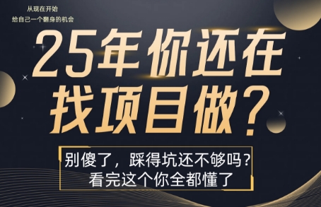 25年,你还在疯狂的找项目吗?别傻了,看完这个你都懂了【揭秘】-初遇