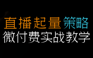 半野老师·直播带货起量与微付费必学课视频号-初遇