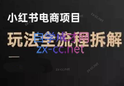 菲菲老师·小红书电商玩法(更新9月)-初遇