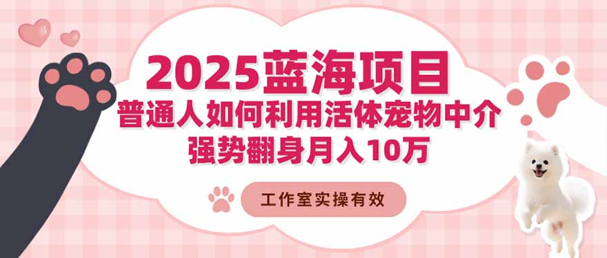 2025蓝海项目：普通人如何利用活体宠物中介，强势翻身月入10万-初遇
