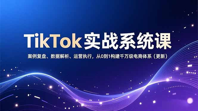 TikTok实战系统课，案例复盘、数据解析、运营执行，从0到1构建千万级电商体系(更新-初遇