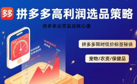 拼多多选品暴利技术实战课,拼多多高利润选品策略,拼多多限时低价标签秘诀-初遇