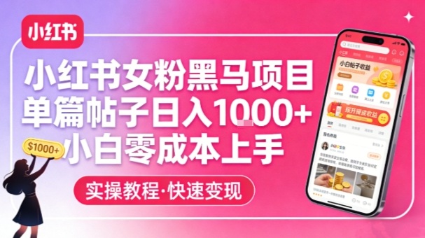 小红书女粉黑马项目，单篇帖子日入1k+，小白零成本上手-初遇
