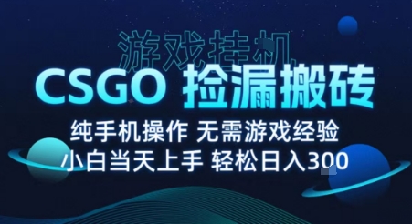 8月最新游戏搬砖,CSGO纯挂G,不需要玩游戏,实现真挂G,月入1W+【揭秘】-初遇