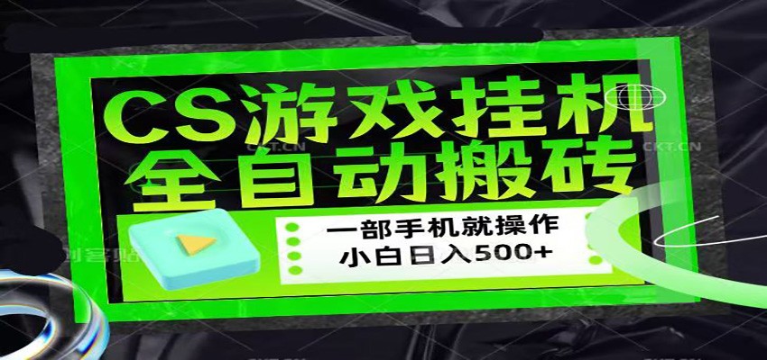 CSGO游戏挂机捡漏搬砖，超稳定的项目，带领1000+小白实现日入500+-初遇