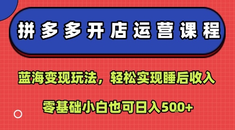 拼多多开店运营课程：蓝海变现玩法，轻松实现睡后收入，零基础小白也可日入5张-初遇