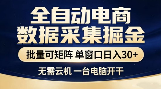独家电商数据全自动采集项目，批量可矩阵，单窗口轻松日入3张+【揭秘】-初遇