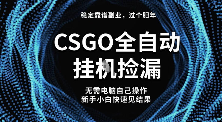【稳定副业】全球最热门游戏CSGO全自动捡漏,最新玩法,新手小白日入5张+【揭秘】-初遇