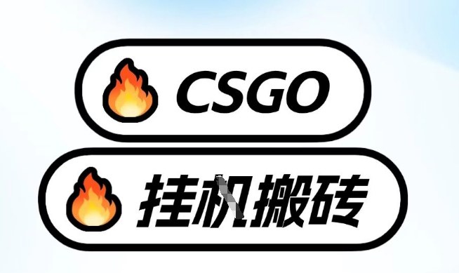 真全网独家CSGO挂G，最新玩法,单日捡漏1K+，不用电脑，不用打游戏【揭秘】-初遇