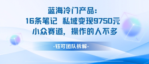 蓝海项目:16条笔记私域变现9750米小众赛道操作的人不多-初遇