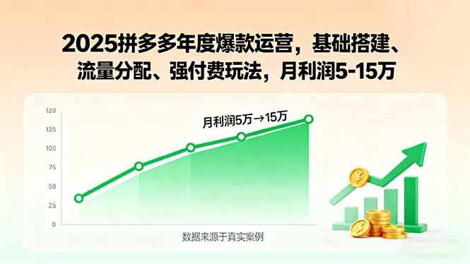 2025拼多多年度爆款运营,基础搭建、流量分配、强付费玩法,月利润5-15万-初遇