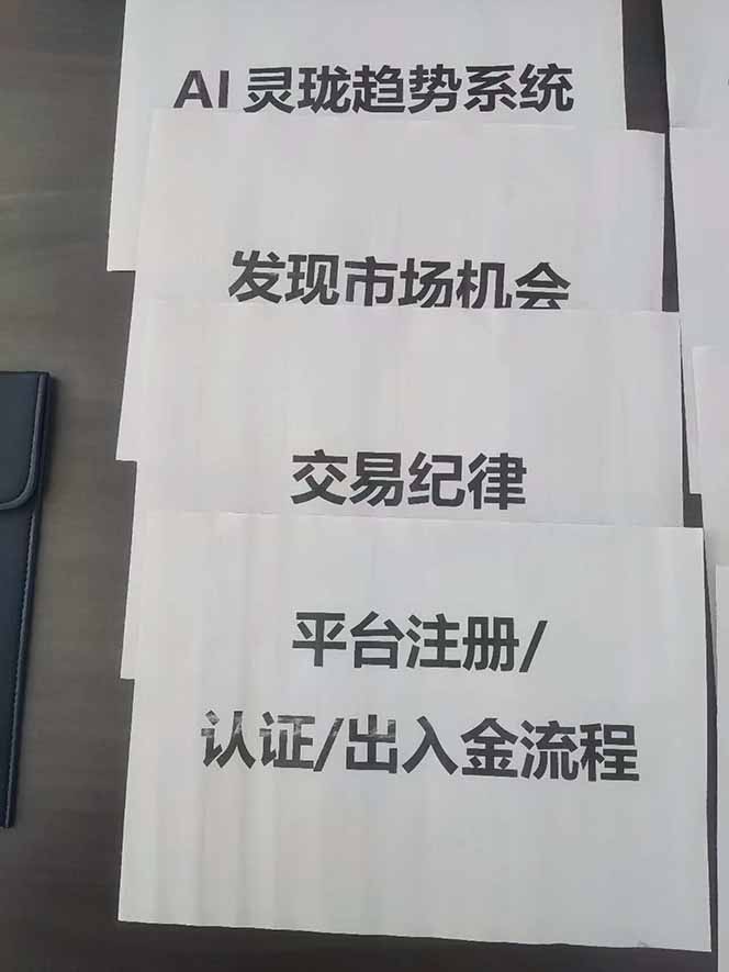 图片[3]-海外美金AI掘金项目，200U可入门槛，一天一单即可，每天1000-2000很轻松！-初遇