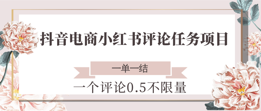 抖音电商小红书评论任务项目，一个评论0.5，一单一结 不限量-初遇