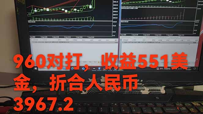 图片[1]-稳定8年的美刀搬砖项目，单人每日收益800—3000.团队4人月入10W+.可线下-初遇