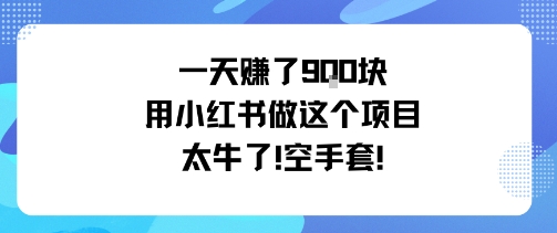 一天挣了9张用小红书做这个项目太牛了，空手套-初遇