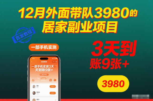 12月外面带队3980的居家副业项目,一部手机实测3天到账9张+,首发教程【揭秘】-初遇
