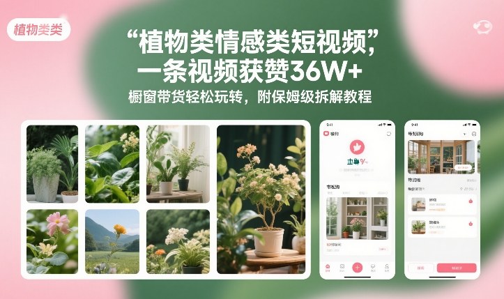 植物类情感类短视频，一条视频获赞36W+，橱窗带货轻松玩转，附保姆级拆解教程-初遇