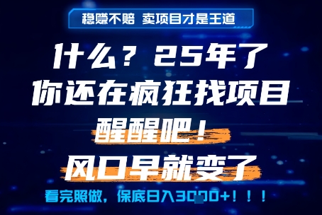什么?25年你还在疯狂找项目做,醒醒吧,看完这些你全都懂了!【揭秘】-初遇