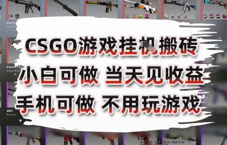 CSGO游戏挂G搬砖,小白纯手机即可操作,不用电脑打游戏,日入3张+,副业网创项目【揭秘】-初遇