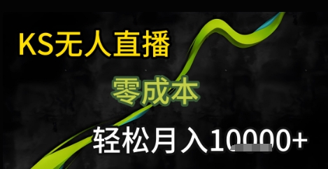 KS无人直播25年最新玩法,只需一部手机,轻松月入1W+【揭秘】-初遇