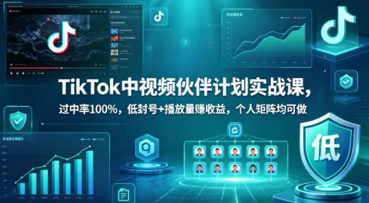 TikTok中视频伙伴计划实战课，过中率100%，低封号+播放量賺收益，个人矩阵均可做-初遇