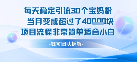 每天稳定引流30个人 当月变成超过了4个W项目流程非常简单适合小白-初遇