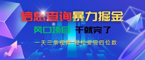 信息查询暴力掘金,一天三条视频,轻松变现四位数,风口项目干就完了【揭秘】-初遇