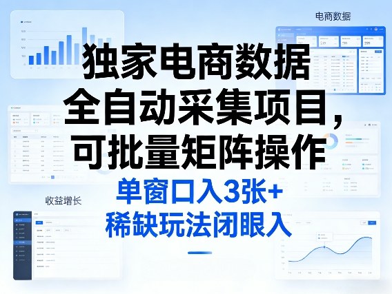 独家电商数据全自动采集项目，可批量矩阵操作，单窗口日入3张+，稀缺玩法闭眼入【揭秘】-初遇