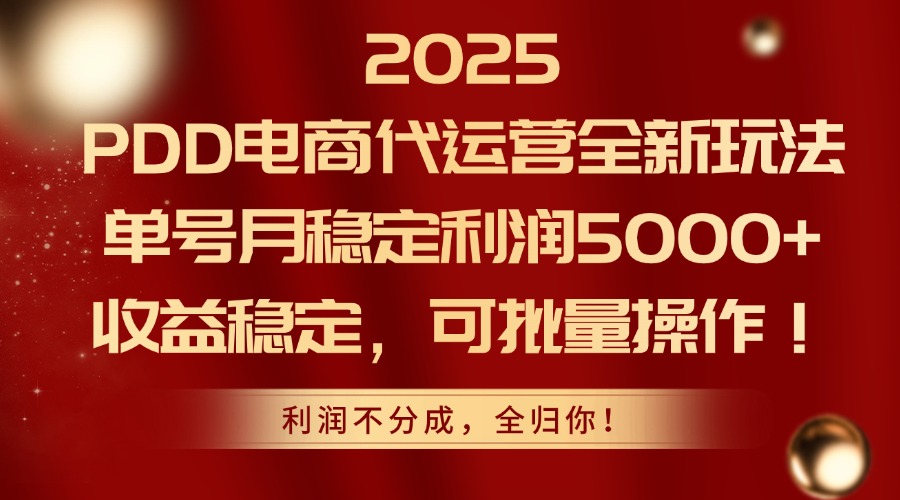 2025PDD电商代运营全新玩法,单号月稳定利润5000+,收益稳定,可批量操作-初遇