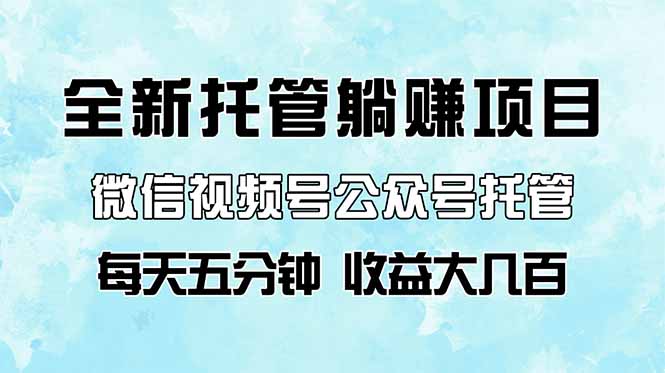 全新托管躺赚项目，微信视频号公众号托管代运营，每天五分钟，收益大几百-初遇