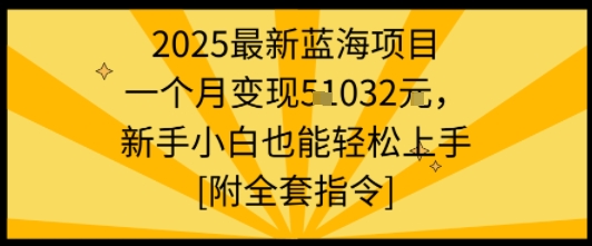 2025最新蓝海项目一个月变现1w+新手小白也能轻松上手【附全套指令】-初遇