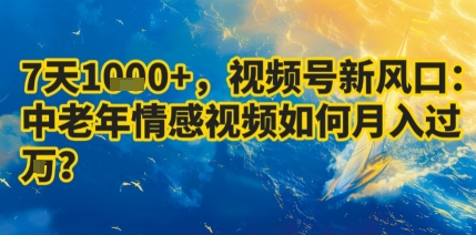 7天收益1k+,视频号新风口:中老年情感视频如何月入过W?-初遇