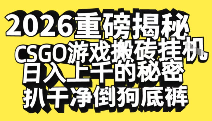 2026开年重磅解密，CSGO游戏搬砖挂G日入1k+的秘密，把倒狗的底裤扒干【揭秘】-初遇