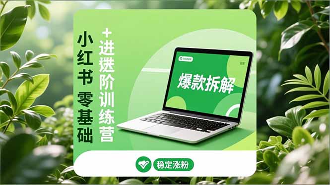 小红书零基础+高阶训练营:安全养号、爆款拆解、长效运营,实现稳定涨粉与变现-初遇