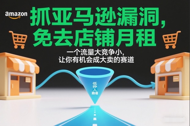 抓亚马逊漏洞，免去店铺月租，一个流量大竞争小，让你有机会成大卖的赛道-初遇