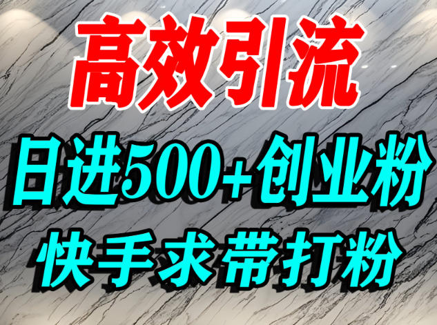 怎么打创业粉?快手求带视角精准引流创业粉,宝妈、学生群体日进500+精准流量-初遇