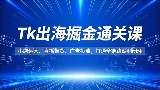 Tk出海掘金通关课，小店运营、直播带货、广告投流，打通全链路盈利闭环-初遇