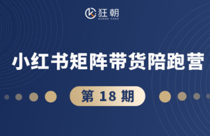 盗坤·抖音小红书视频号短视频带货与直播变现(11-18期)-初遇