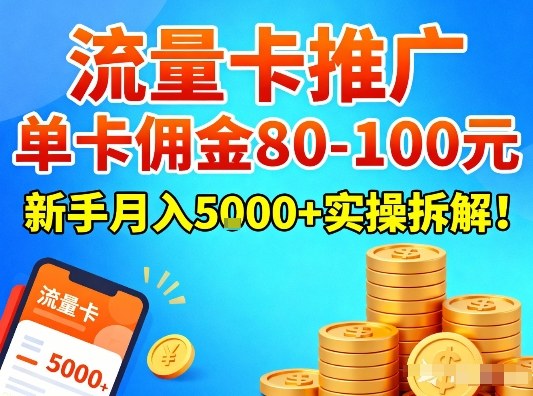 流量卡推广，单卡佣金80-100，新手月入5k+实操拆解！-初遇