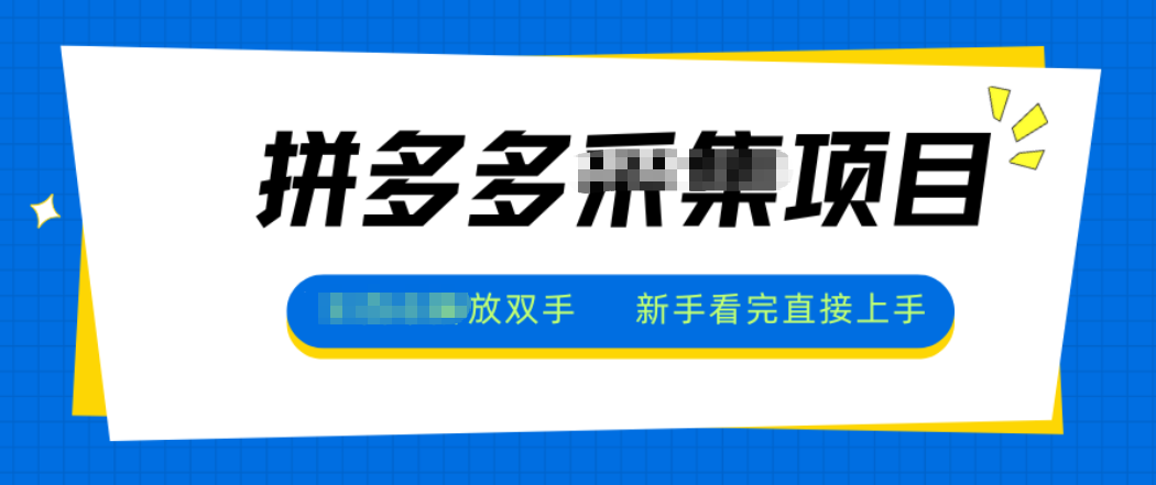 拼多多电商采集，一小时50+，操作简单，零投资-初遇