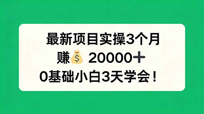 最新项目实操3个月，赚钱20000+，0基础小白3天学会！-初遇