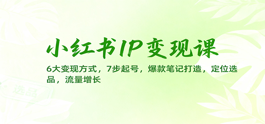 小红书IP变现课：6大变现方式，7步起号，爆款笔记打造，定位选品，流量增长-初遇
