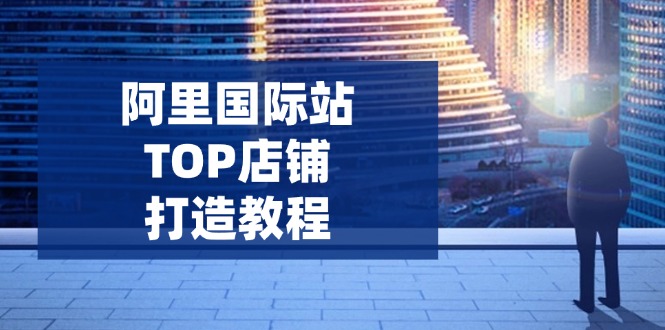 阿里国际站TOP店铺打造教程:涵盖平台到高阶,解决运营难题,提升询盘-初遇