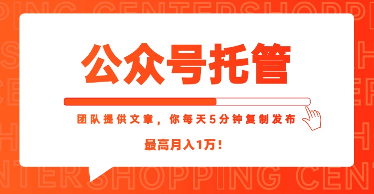 【公众号托管 】我提供文章,你每天5分钟复制发布,最高月入1W-初遇