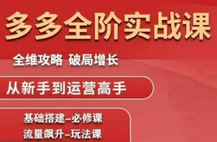 大炮·拼多多全阶实战课程(更新2026)-初遇