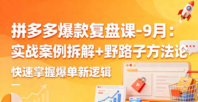 拼多多爆款复盘课-9月：实战案例拆解+野路子方法论，快速掌握爆单新逻辑-初遇